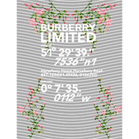 Brand Catalog-ZX 322